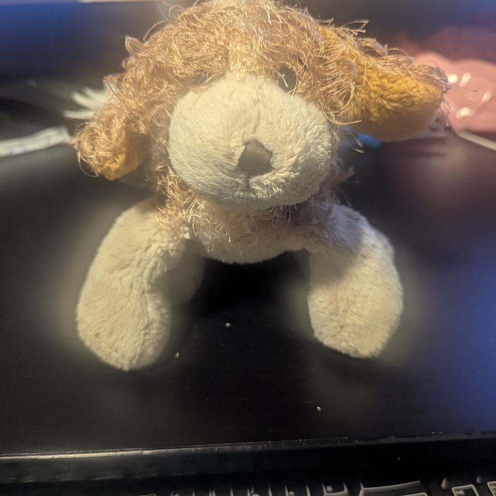 Webkinz Classic Plush-Cocker Spaniel